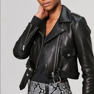 ISO: Veda “baby Jane” leather jacket in a P/XS